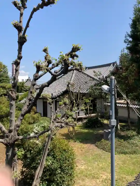 野中寺のその他建物