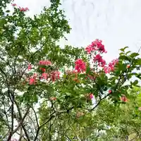 伊勢の国 四天王寺(三重県)