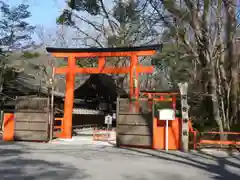 河合神社（鴨川合坐小社宅神社）の鳥居