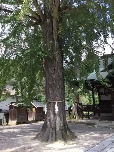 賀羅加波神社の建物その他