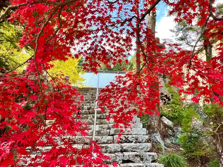 大山寺(徳島県)
