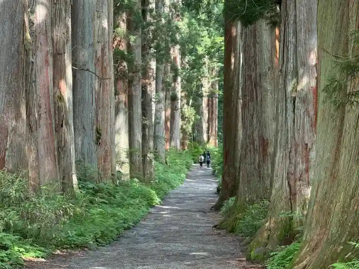 戸隠神社奥社(長野県)