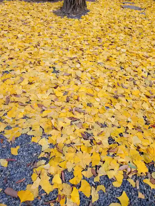 阿邪訶根神社(福島県)
