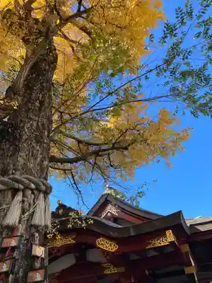 素盞雄神社(東京都)