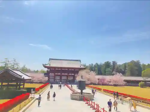 東大寺(奈良県)