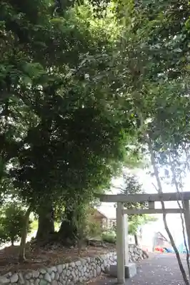 五十鈴神社(滋賀県)