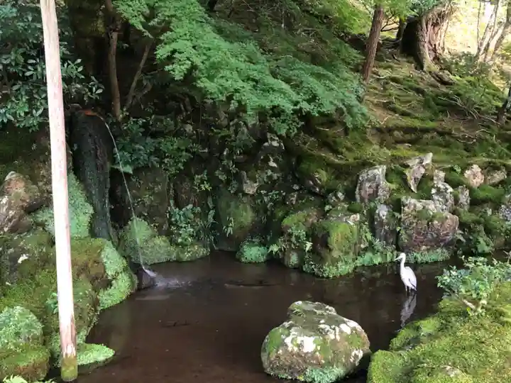 慈照寺(慈照禅寺・銀閣寺)の庭園
