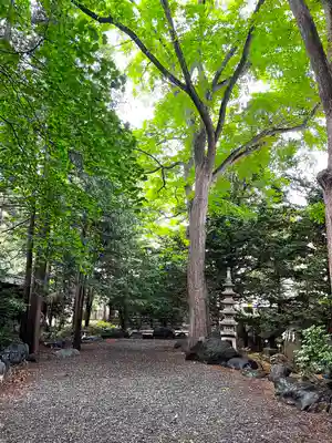 琴似神社(北海道)