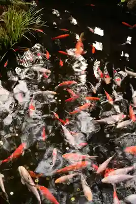 椙本神社(高知県)