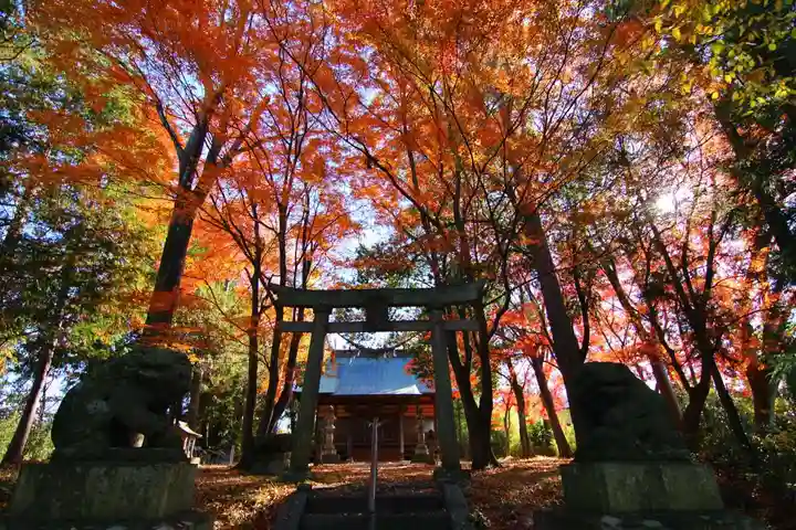國祖神社の鳥居