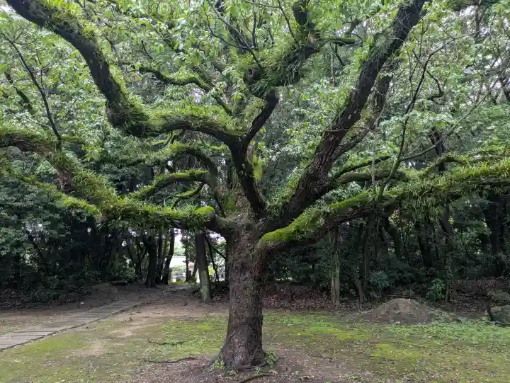 乃木神社(香川県)