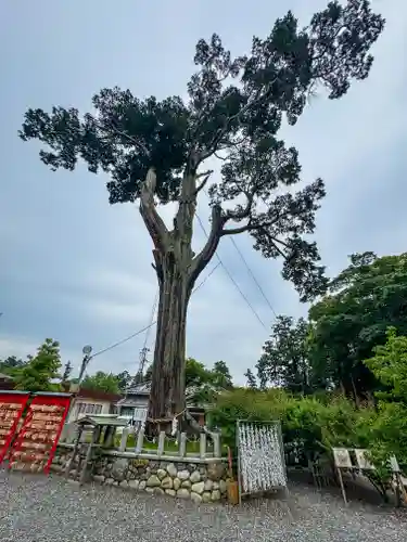 矢奈比賣神社（見付天神）(静岡県)