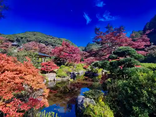 三室戸寺(京都府)