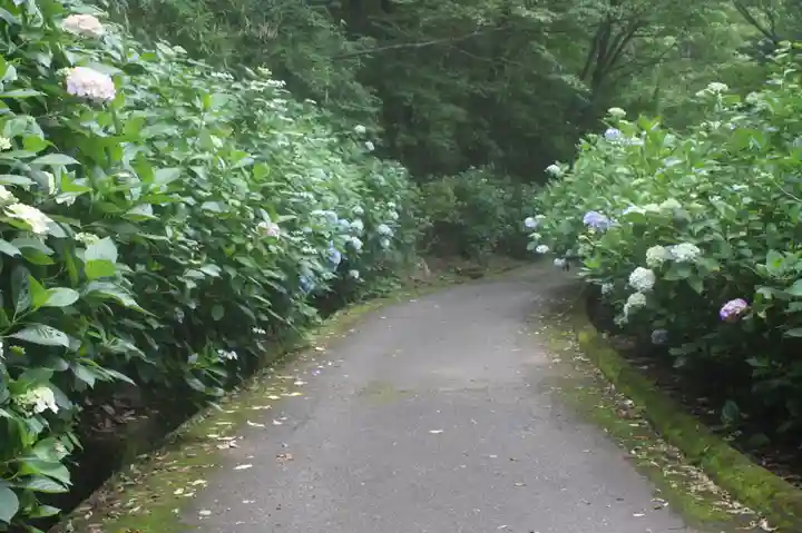 慈光寺(大阪府)