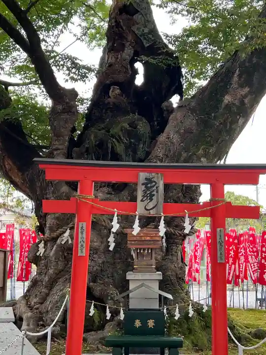 秩父今宮神社(埼玉県)