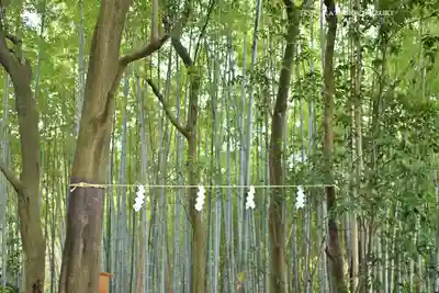  久延彦神社(奈良県)