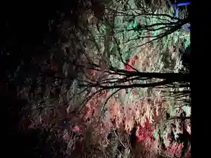 土津神社|こどもと出世の神さま(福島県)(2021年10月28日(木) 18時11分42秒投稿)