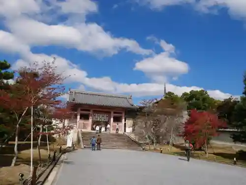 仁和寺(京都府)