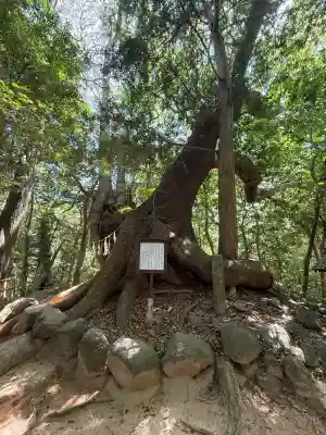 住吉神社の{uncategorized: "未分類", other: "その他", undefined: "問題あり", building: "その他建物", grave: "お墓", sacred_gate: "鳥居", guardian: "狛犬", statue: "像", buddha: "仏像", history: "歴史", nature: "自然", garden: "庭園", animal: "動物", pagoda: "塔", temizu: "手水舎", mountain_gate: "山門・神門", sanctuary: "本殿・本堂", subordinate: "末社・摂社", art: "芸術", scenery: "景色", jizo: "地蔵", ema: "絵馬", goshuin: "御朱印", omikuji: "おみくじ", items: "授与品その他", amulet: "お守り", goshuincho: "御朱印帳", eats: "食事", festival: "お祭り", votive_dance: "神楽", shichigosan: "七五三参", wedding: "結婚式", experience: "体験その他", initially: "初詣", around: "周辺", anti_infection: "感染症対策"}