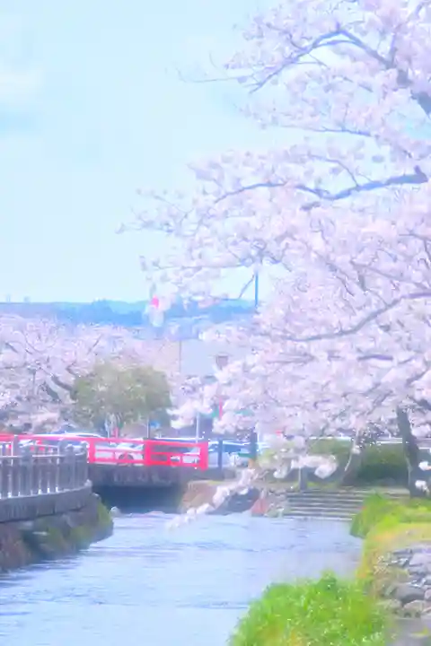 富士山本宮浅間大社(静岡県)