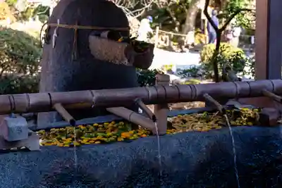賀茂別雷神社（上賀茂神社）(京都府)
