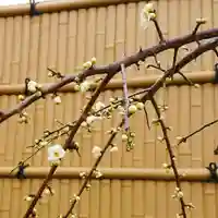 寿量山 速成寺の庭園