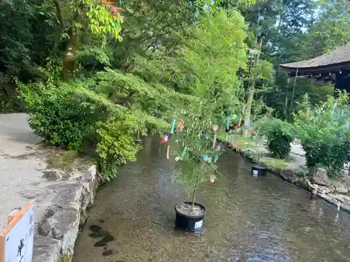 賀茂別雷神社（上賀茂神社）(京都府)