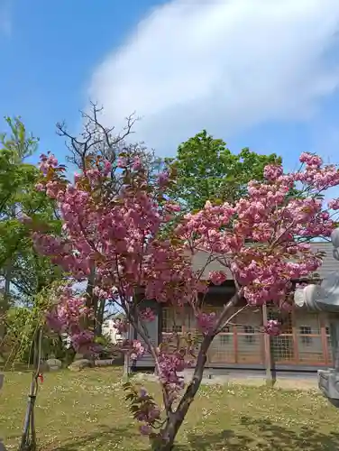 厳島神社(北海道)