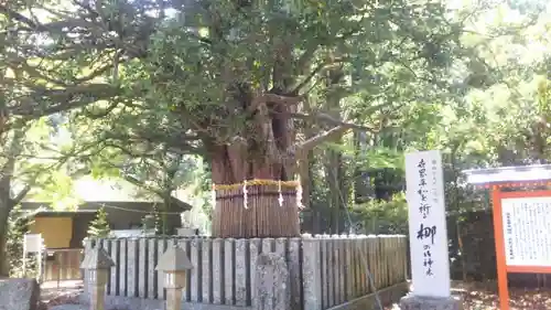 熊野速玉大社の建物その他