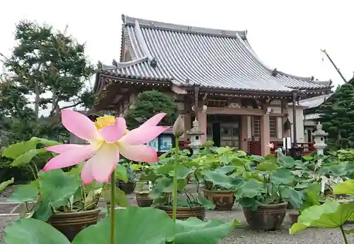 代通寺の本殿