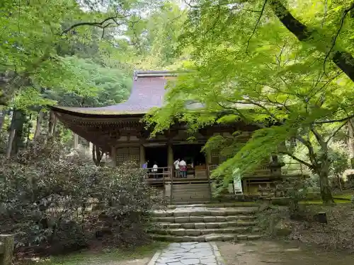 室生寺の{uncategorized: "未分類", other: "その他", undefined: "問題あり", building: "その他建物", grave: "お墓", sacred_gate: "鳥居", guardian: "狛犬", statue: "像", buddha: "仏像", history: "歴史", nature: "自然", garden: "庭園", animal: "動物", pagoda: "塔", temizu: "手水舎", mountain_gate: "山門・神門", sanctuary: "本殿・本堂", subordinate: "末社・摂社", art: "芸術", scenery: "景色", jizo: "地蔵", ema: "絵馬", goshuin: "御朱印", omikuji: "おみくじ", items: "授与品その他", amulet: "お守り", goshuincho: "御朱印帳", eats: "食事", festival: "お祭り", votive_dance: "神楽", shichigosan: "七五三参", wedding: "結婚式", experience: "体験その他", initially: "初詣", around: "周辺", anti_infection: "感染症対策"}