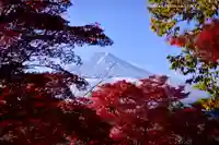 新倉富士浅間神社(山梨県)