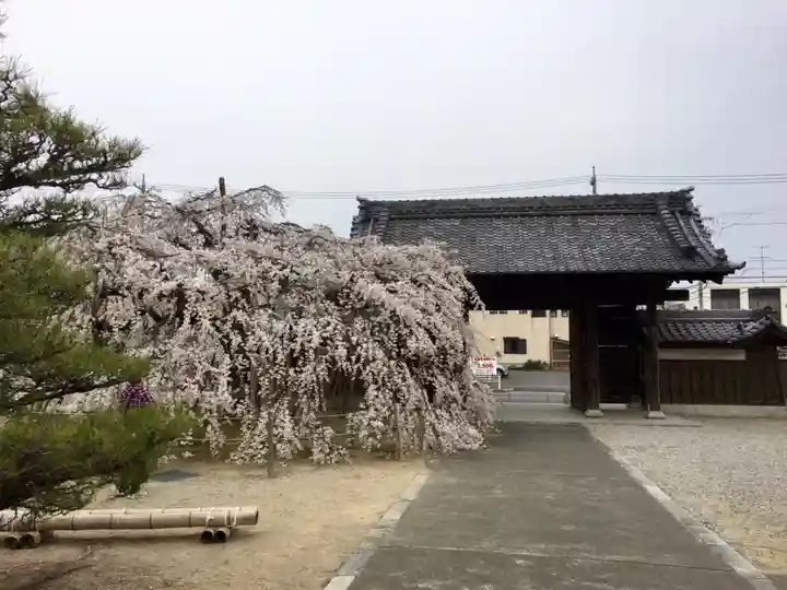 専修坊のその他建物