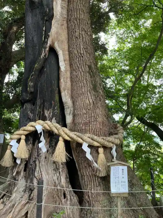 常陸國總社宮(茨城県)