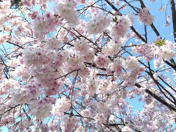 法顕寺(新潟県)