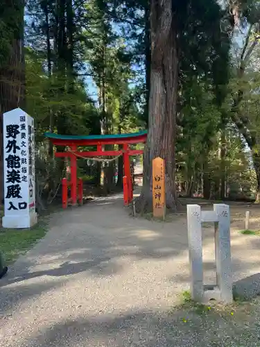 白山神社の鳥居