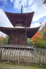 常寂光寺(京都府)