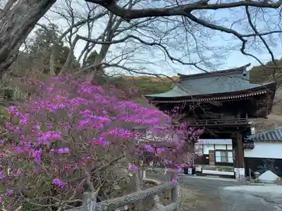 普門寺(切り絵御朱印発祥の寺)のその他建物