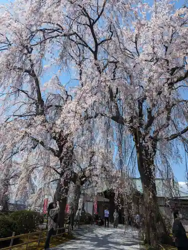 身照寺(岩手県)