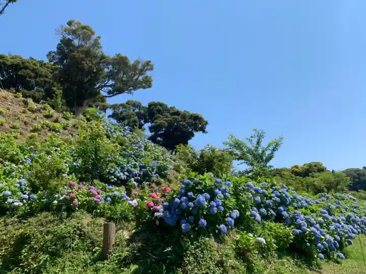 神洗神社の自然
