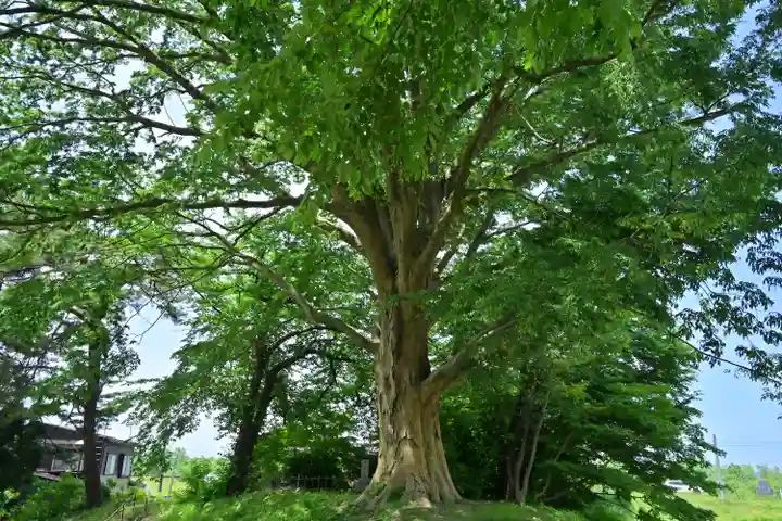 安禅寺(新潟県)