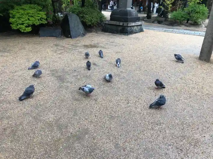 四柱神社の{uncategorized: "未分類", other: "その他", undefined: "問題あり", building: "その他建物", grave: "お墓", sacred_gate: "鳥居", guardian: "狛犬", statue: "像", buddha: "仏像", history: "歴史", nature: "自然", garden: "庭園", animal: "動物", pagoda: "塔", temizu: "手水舎", mountain_gate: "山門・神門", sanctuary: "本殿・本堂", subordinate: "末社・摂社", art: "芸術", scenery: "景色", jizo: "地蔵", ema: "絵馬", goshuin: "御朱印", omikuji: "おみくじ", items: "授与品その他", amulet: "お守り", goshuincho: "御朱印帳", eats: "食事", festival: "お祭り", votive_dance: "神楽", shichigosan: "七五三参", wedding: "結婚式", experience: "体験その他", initially: "初詣", around: "周辺", anti_infection: "感染症対策"}