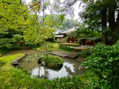 明月院(神奈川県)