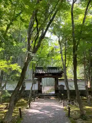 地蔵院の山門・神門