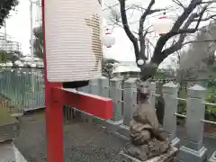 星川杉山神社の狛犬