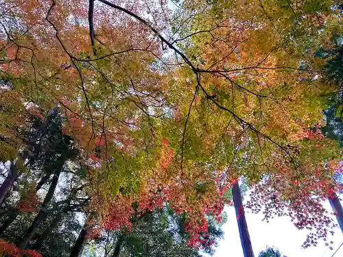 吸湖山　青岸寺(滋賀県)