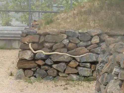 岩国白蛇神社(山口県)