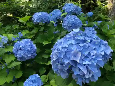 糠部神社(青森県)
