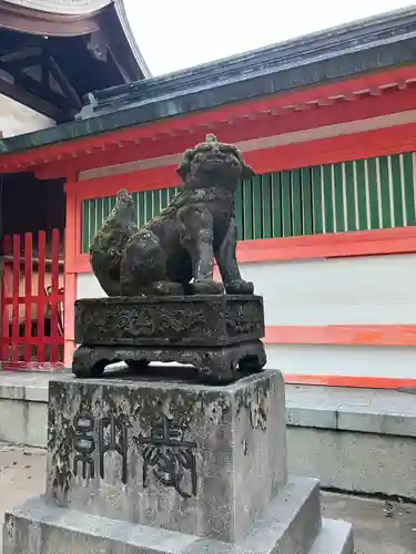 住吉神社の狛犬