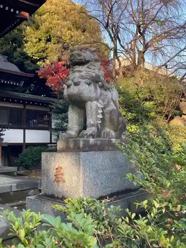 玉川神社の狛犬